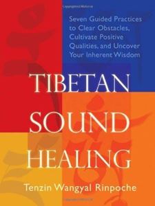 Picture of TIBETAN SOUND HEALING: SEVEN GUIDED PRACTICES TO CLEAR OBSTACLES, CULTIVATE POSITIVE QUALITIES, AND UNCOVER YOUR INHERENT WISDOM